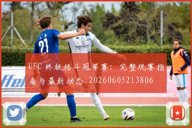 UFC 终极格斗冠军赛：完整观赛指南与最新动态_20260605213806
