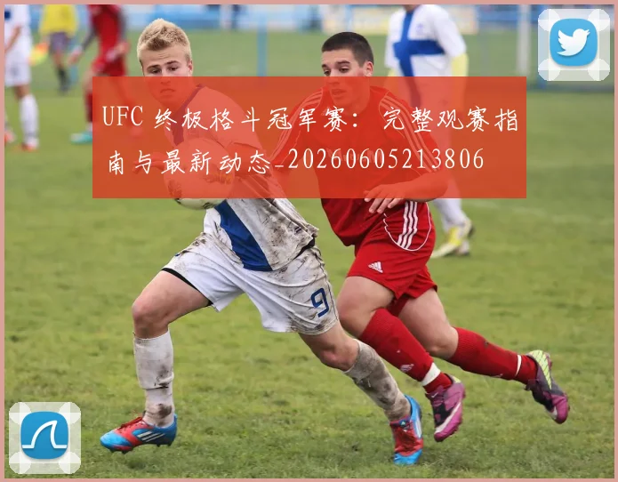 UFC 终极格斗冠军赛：完整观赛指南与最新动态_20260605213806